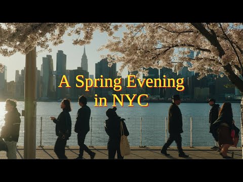 Catching Cherry Blossoms on a Spring Day in NYC | Sony FX3 Film Emulation