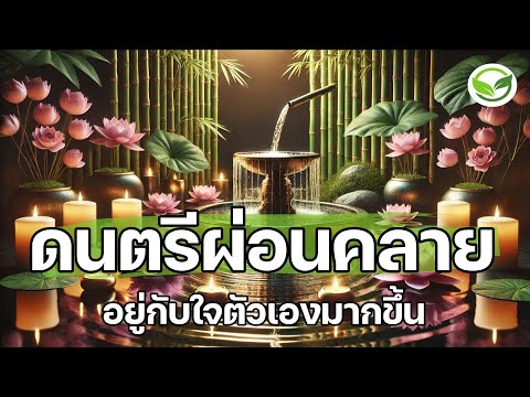 ดนตรีผ่อนคลาย ดนตรีบำบัดความเครียด เพลงนี้ช่วยให้คุณอยู่กับใจตัวเองมากขึ้น สบายใจขึ้นหลายเท่า