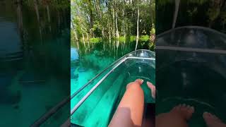 Clear Kayaking Eco Adventure in Marianna.#shorts #clearkayaking  #ecoadventures  #mariannaflorida