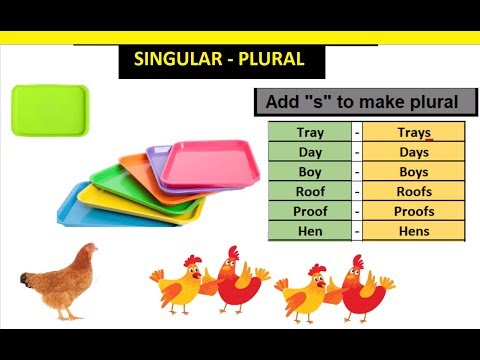 English Grammar: Singular and Plural