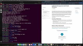 devops week 2 day 1 bash scripting and accepting command arguments as input