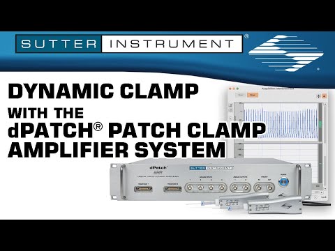 Dynamic Clamp with the dPatch® Patch Clamp Amplifier System - Scientists Empowering Scientists