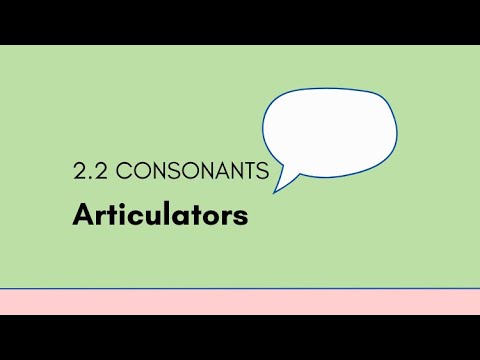 2.2 Consonants - Articulators
