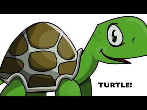 Learn Python Coding with Turtle