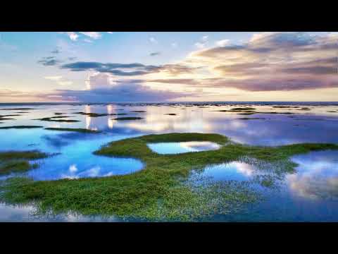 MoFeansy - 晴窗