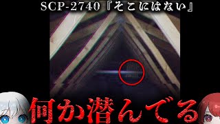 【SCP解説】家庭用ビデオカメラから回収された映像。【SCP-2740】