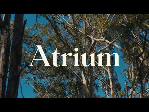 Atrium Teaser   Carrington Place 1080