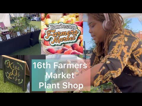 16th Farmers Market Plant Shop