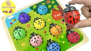 Best Educational Video for Kids | Ladybug Puzzle, Learn Numbers, ABC, Vehicle Learning Compilation