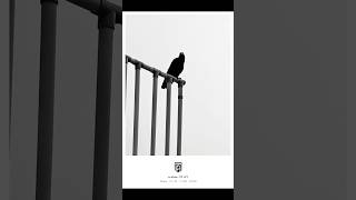 14/1000 - bw photography #dsmrphotos #bwphotography
