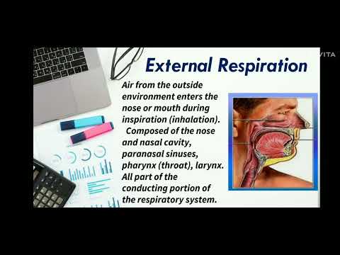 ppt on human  respiratory system # best # must watch # Yt video # Talented guyz