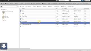 Download a cPanel backup file to your computer