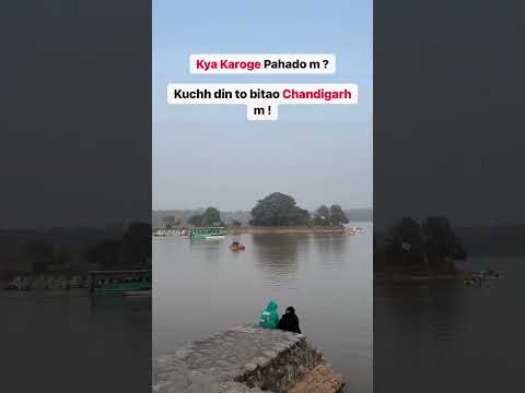 Sukna Lake Chandigarh 😍 Shorts video #sukuna #lake #chandigarh #gediroute #kasol #manali #trending