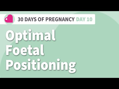 The Best Position For Your Baby? Optimal Fetal Positioning - Hypnobirthing Techniques - Day 10