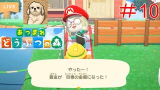 【オンラインゲーム実況配信】超まったりどうぶつの森#10　虫取り大会期待外れだった。売地2つと橋を確保し、島の評判を上げていく。