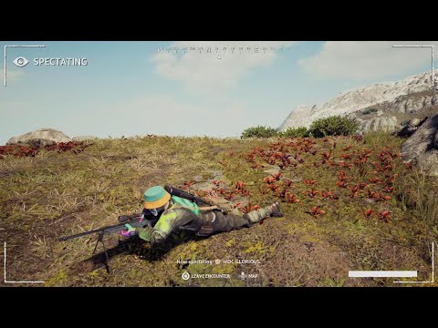 Vigor_20250505235302
