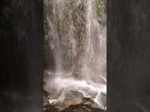 Training video #shortvideo #viral #onyoutube #photography #only_shorts
