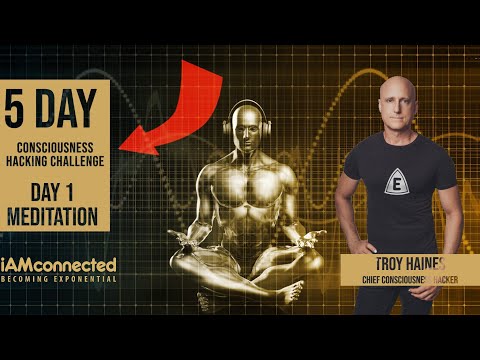 REPLAY - Day 1 - 5 Day Consciousness Hacking Challenge