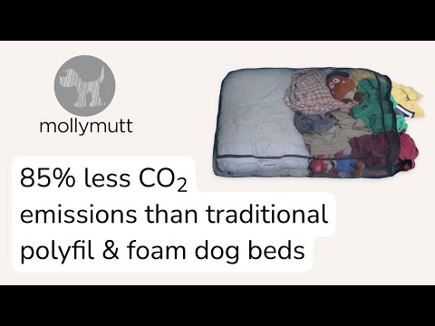 Create an Eco-friendly Dog Bed With Your Old Pillows, Blankets, etc.