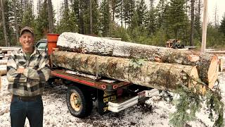 No One Wants to Mill Free 1200lb Logs Like This (But We Do)