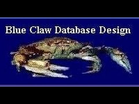 Asbestos Survey Database Template