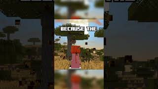 The SAD Truth About Snow Golems… ❄️💀