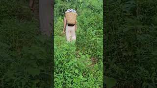 Cô thôn nữ gùi đồ lên núi #girlbuildingbushcraftlife #cooking #survival