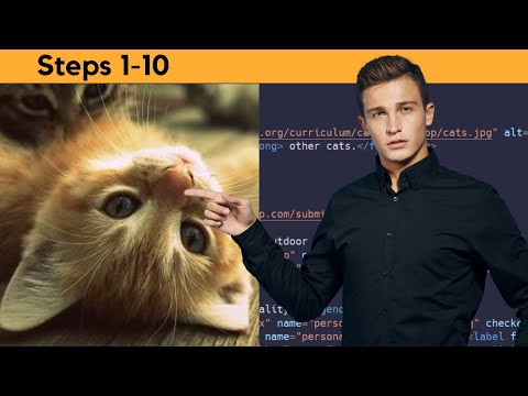 Learn HTML by Building a Cat Photo App (1-10)