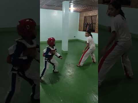Grade School vs. Juniors Taekwondo Study Sparring: A Comprehensive Analysis