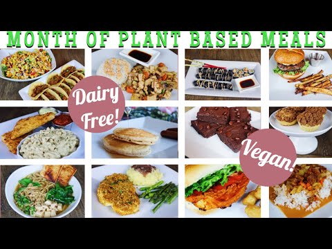 A MONTH OF PLANT BASED / VEGAN MEALS | HEALTHY FAMILY RECIPES | EASY DAIRY FREE KID MEALS