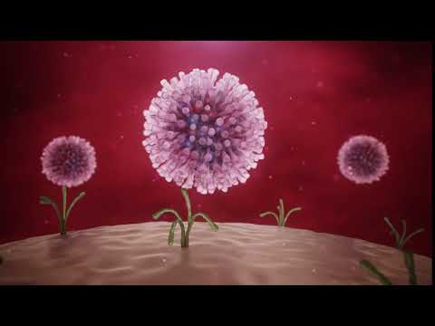 MOA Animation   HCV