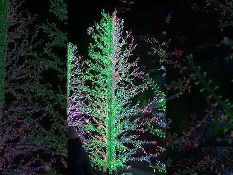 Canary Wharf's winter lights festival#Montgomery Square#London#UK