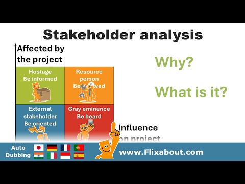 Stakeholder analysis