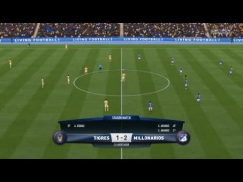 Skillful goal
