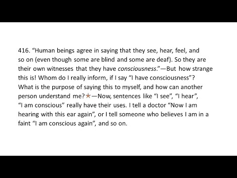 Wittgenstein on consciousness 2