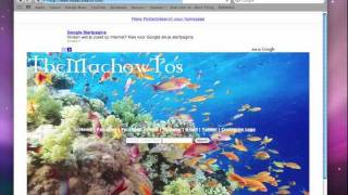 How to make your own Google/Search page