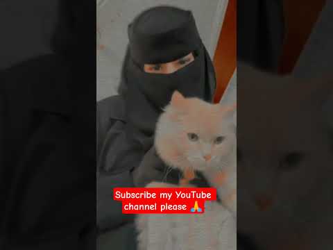 My dream 10k Subscriber plz support me. #Subscribe #ytshort #viralshorts2025