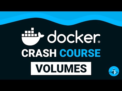 Docker Volumes Explained - Docker Crash Course #3 (2024)