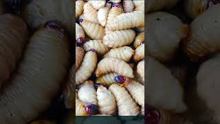 Funny engineering quotes #shorts #engineermemes