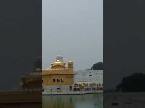 Harmander sahb ji Amritsar 🙏 golden temple ❣️5674 #goldentempleji #love #historyfacts