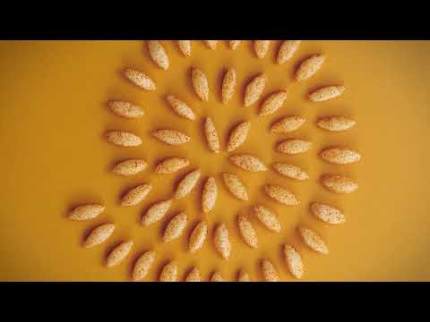 Gopal Fryums