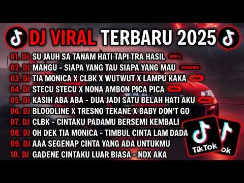 DJ TIKTOK TERBARU 2025 - DJ SU JAUH SA TANAM HATI TAPI TRA HASIL🎵DJ SIAPA YANG TAU SIAPA YANG MAU