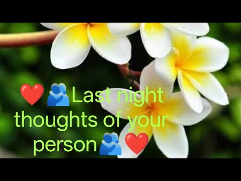 Last night thoughts of your person#tarot#simpletarot#yoga#meditation #oracle#energy#soulmate #lover 