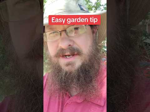 A quick garden tip! #gardentips #garden #homegrown #growyourownfood #gardening #gardeningtips