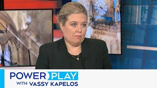 'We do know that there's a lot of bogus asylum claims': Conservative immigration critic