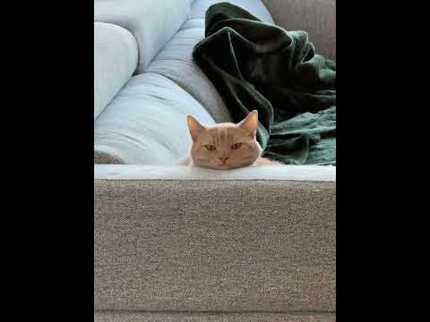 He’s just like that sometimes…