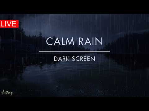 Calm Rain On Lake | No Ads | Live Gentle Rain Sounds For Sleeping