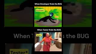 Developer VS Tester
