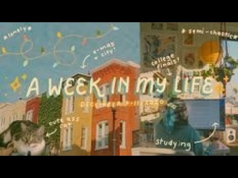 First  Vlog ❤️ Of My Channel | Please Support Me
