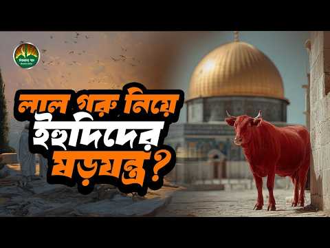 লাল গরু ও ইহু*দিদের ভয়ং*কর পরিকল্পনা | Red Heifer Prophecy | ইবাদতের পথে | Islamic Video
